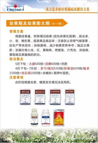 龍燈化學 深耕農業，以技術推廣服務為農賦能